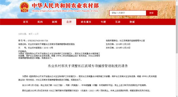 因长江禁捕，江刀鱼吃不到，海刀鱼已涨至8000元！