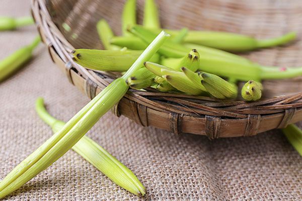 黄花菜有毒吗 吃了黄花菜会不会中毒