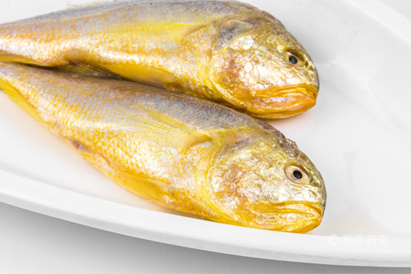 黄花鱼的营养价值 黄花鱼的功效与作用