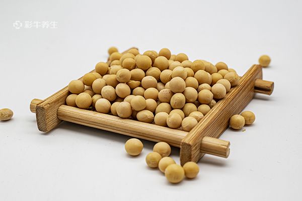 黄豆的功效与作用禁忌 吃黄豆的好处及注意事项