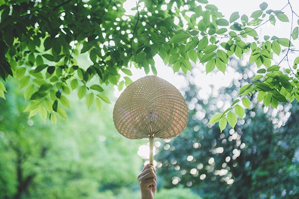 夏至是几月几日 夏至如何养生