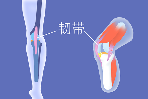 吃什么有助于韧带恢复 韧带吃什么恢复得快