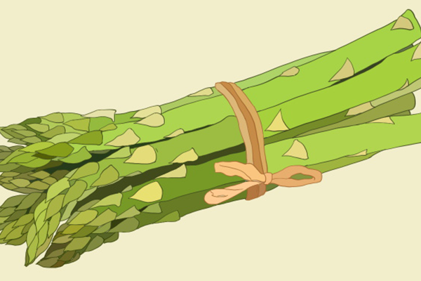 竹笋的营养价值是什么  竹笋的功效是什么