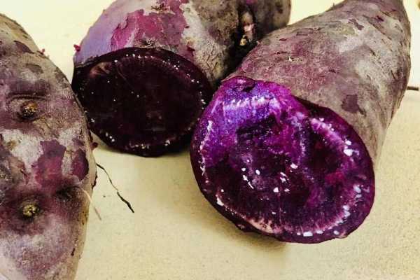 孕妇可以吃紫薯吗 孕妇吃紫薯有什么作用