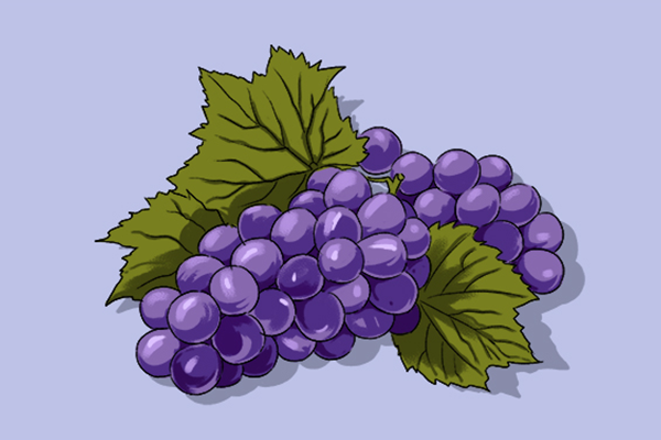 葡萄有什么营养 葡萄的功效与作用