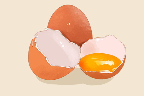 鸡蛋的营养成分是什么 鸡蛋有哪些营养成分
