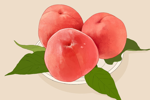桃子的功效与作用 桃子的好处有哪些