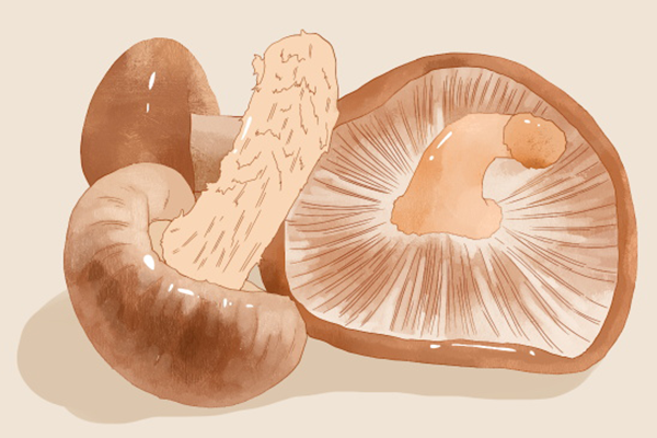 吃菌菇类有什么好处 哪些菌菇对身体有好处