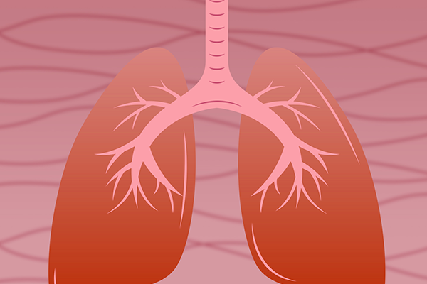 怎么养肺是最好的方法