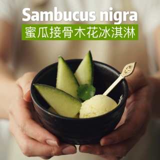 蜜瓜接骨木花冰淇淋
