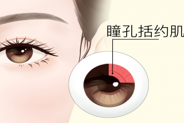 瞳孔放大是怎么导致的 瞳孔放大是为什么