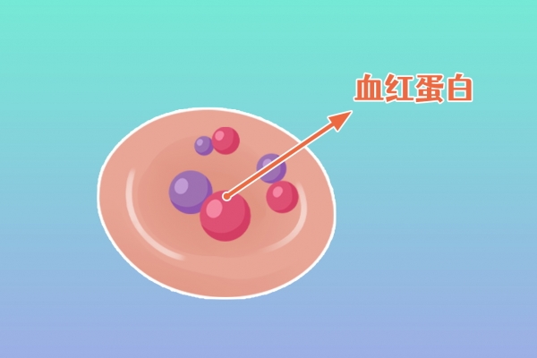 血红蛋白含量偏低是怎么回事 血红蛋白低怎么补恢复最快